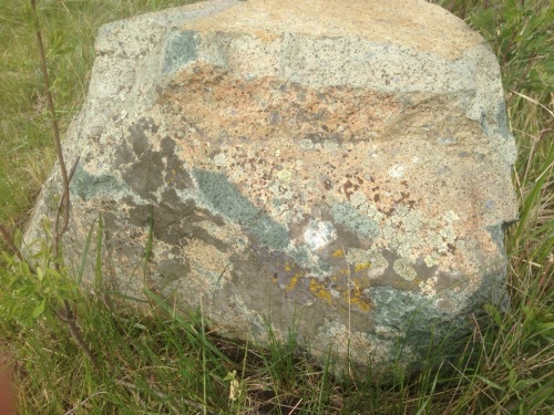 Гигантские зелёные валуны для ландшафтного дизайна весом более 5 тонн купить в Рошале